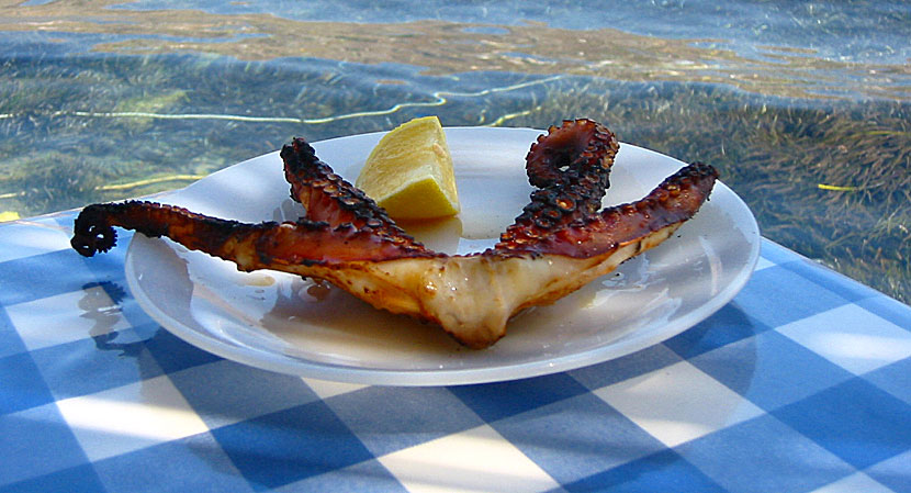 Grilled octopus. Grillad bläckfisk. Oktapodi psito .