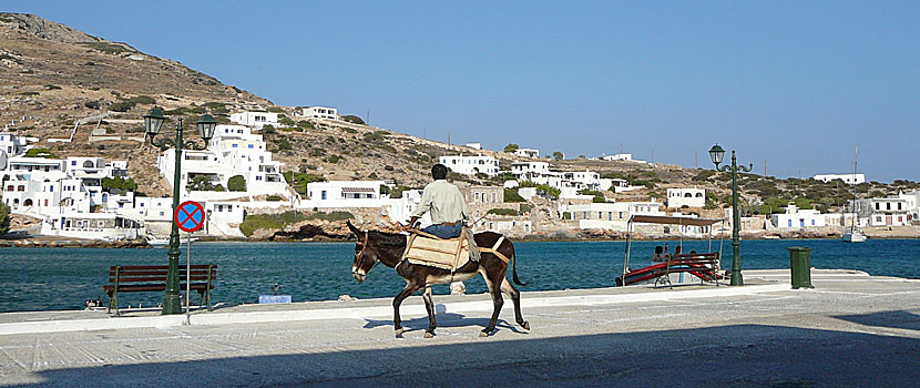 Taverna Meltemi. Sikinos.