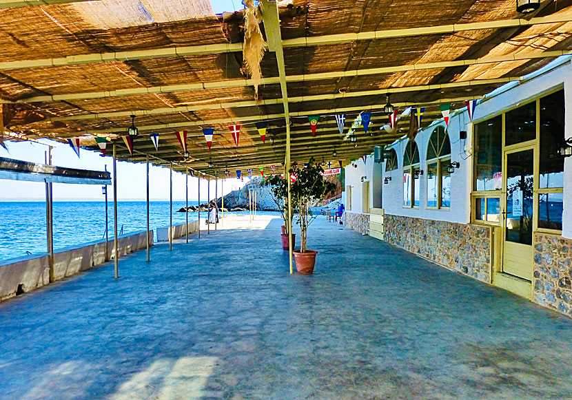Kalymnos diving club i Therma.