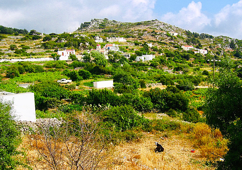  Stes är den minsta byn på Karpathos.