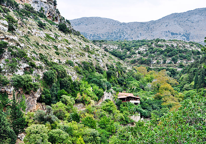 Mili Gorge nära Rethymnon på Kreta.
