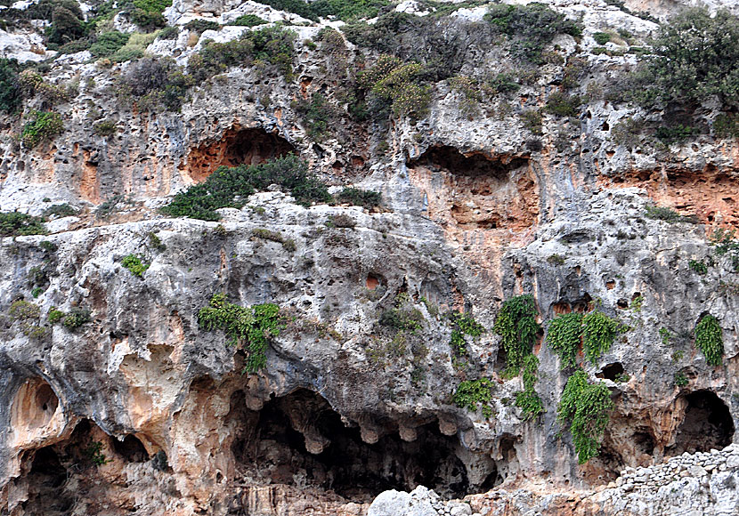 Spännade grottor Mili Gorge på Kreta.