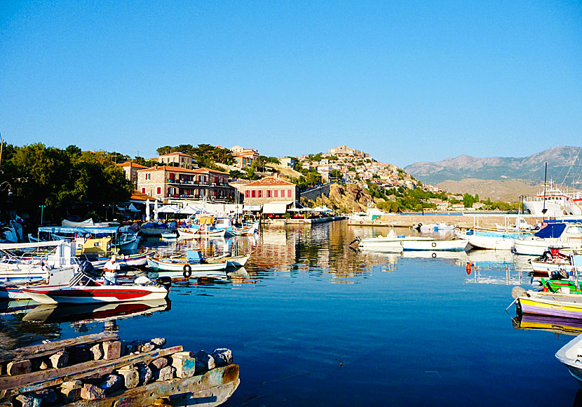 Hamnen under Molyvos på Lesbos.