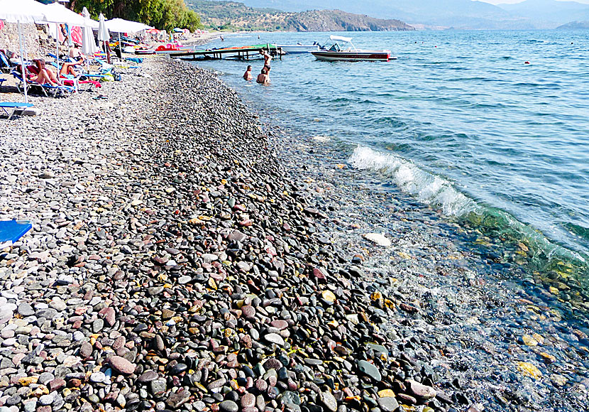 Stranden i Molyvos stenig och badskor är ett måste.