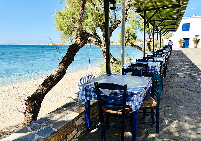 Tavernor, restauranger och hotell vid Drios beach på Paros i Kykladerna.