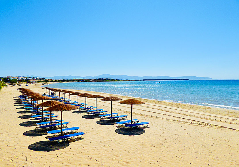 Golden beach på Paros i Grekland.