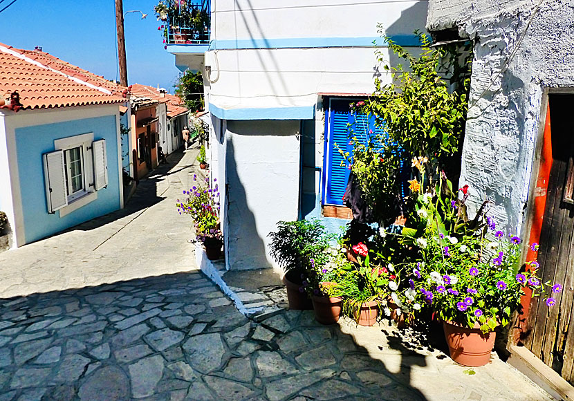 Den smala huvudgatan i Manolates på Samos.