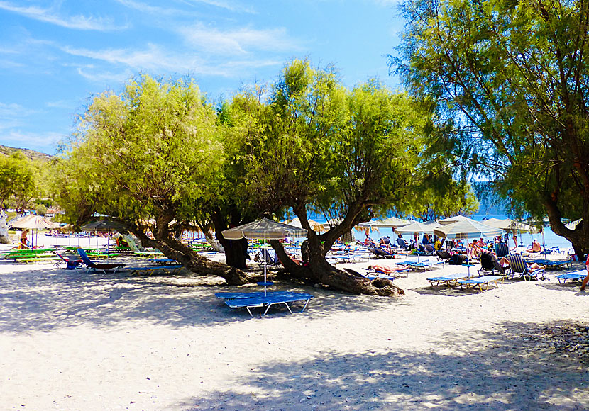 Psili Ammos beach 1. Samos.