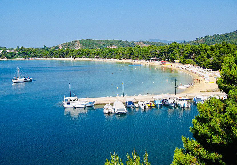 Koukounaries beach på Skiathos i Grekland.