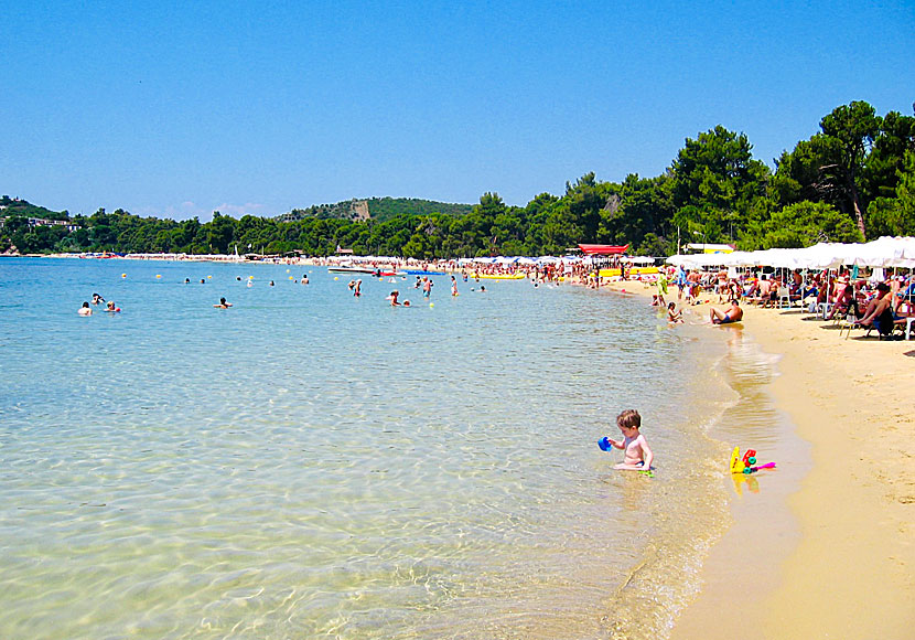 Som många andra stränder på Skiathos är även Koukounaries beach mycket barnvänlig.