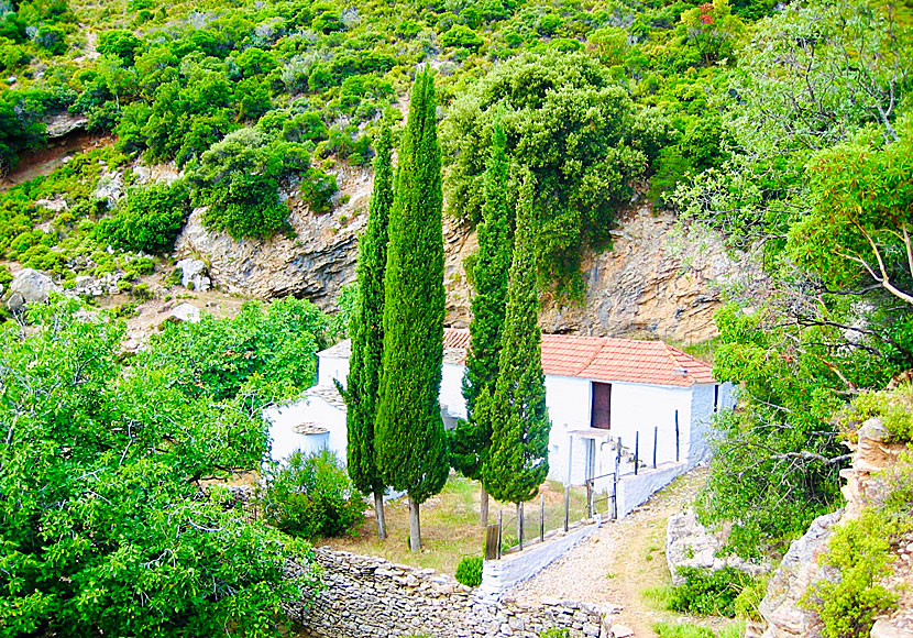 Agios Taxiarchis monastery på nordöstra Skopelos är ett bra mål för enkla vandringar. 