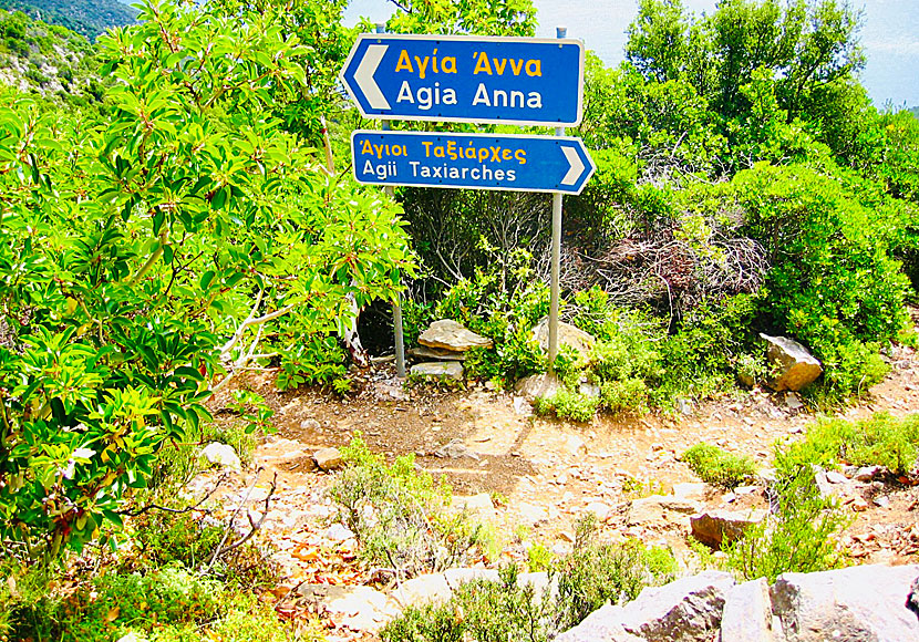 Vandra till Agia Anna church och Agios Taxiarchis monastery på nordöstra Skopelos.