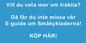 Mer om Iraklia finns i v&aring;r E- guide om Sm&aring;kykladerna! 