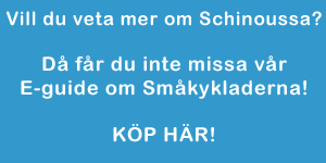 Mer om Schinoussa finns i v&aring;r E- guide om Sm&aring;kykladerna! 