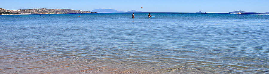 Kos i Grekland.