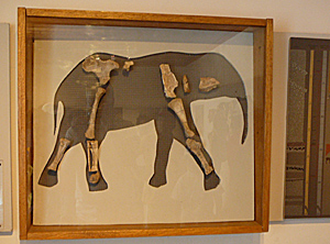 Elefantmuseet i Megali Chorio. Vicky heter guiden,