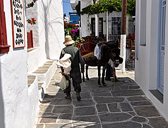 Gr&auml;nder i Apollonia.