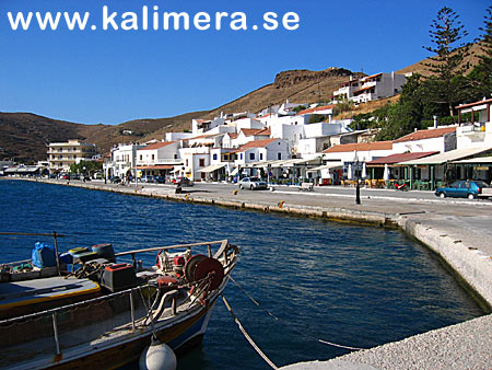 Korrisia.