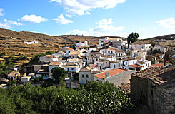 Dryopida - Kithnos stora begivenhet