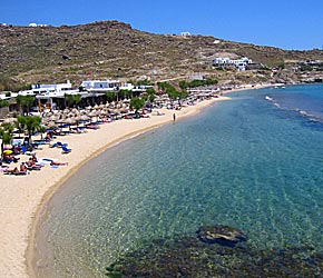 Paradise beach.