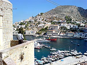 Hydra