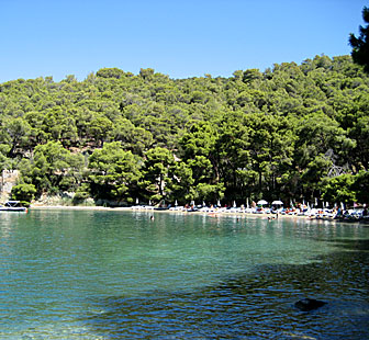 Love bay.