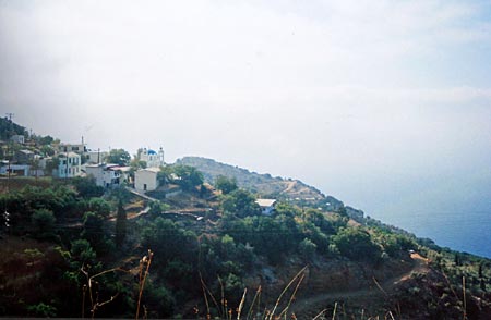 Xilosirtis.