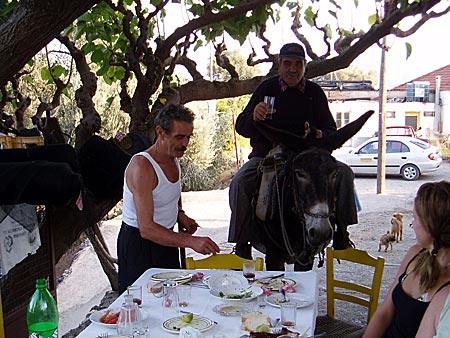 Ioannis,Vasili och &aring;snan.