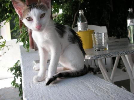 Samos.