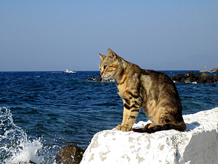 Grekland. Nisyros. Mandraki.