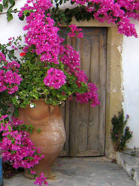Pefki - Kreta