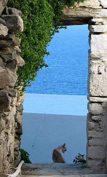 Bilder fr&aring;n Grekland. Kastro. Sifnos