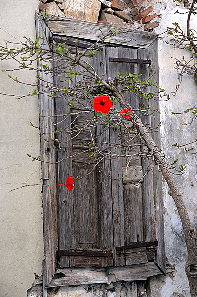 Bilder fr&aring;n Grekland. Samos. Pythagorion.
