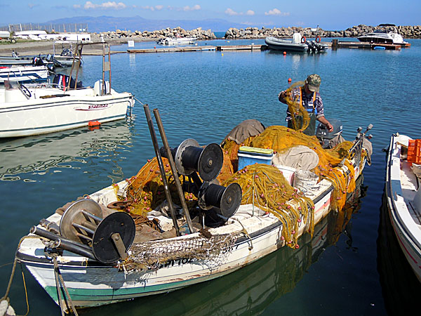 Platanias p&aring; Kreta.