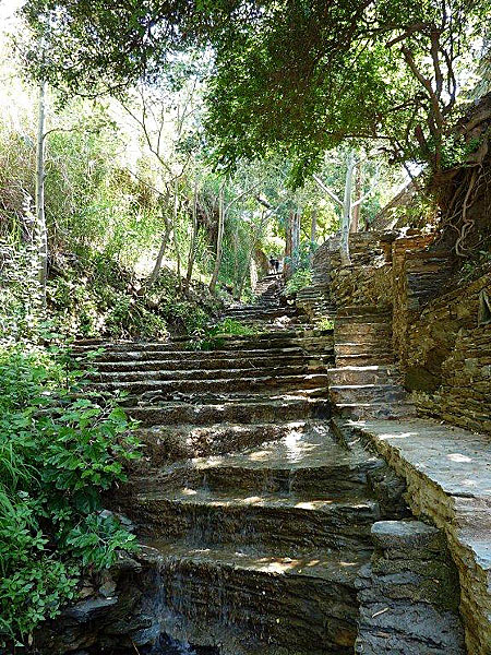 Andros.