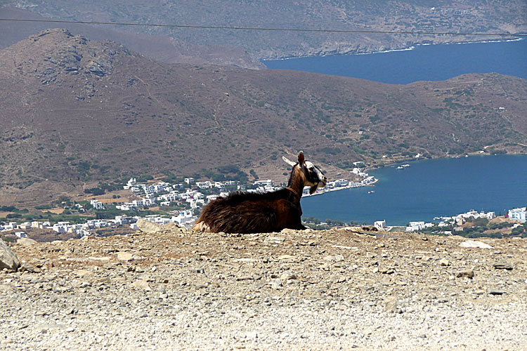 Katapola p&aring; Amorgos.