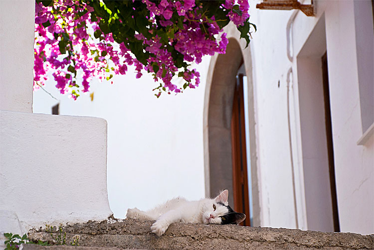 Lindos p&aring; Rhodos
