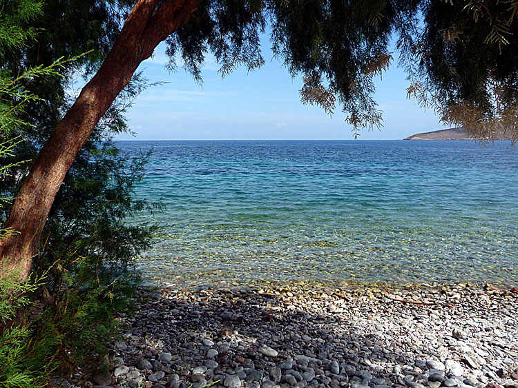 Livadia p&aring; Tilos
