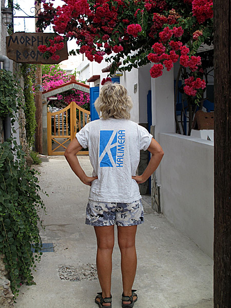 Kini - Syros. I gr&auml;nden utanf&ouml;r v&aring;rt boende en mulen dag i juli.