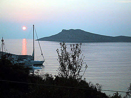 Myrties. Kalymnos.