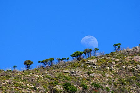 Chania. Kreta.