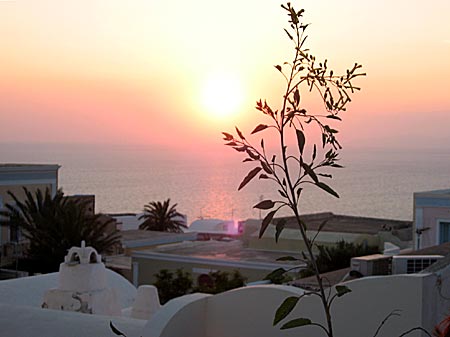 Oia. Santorini.