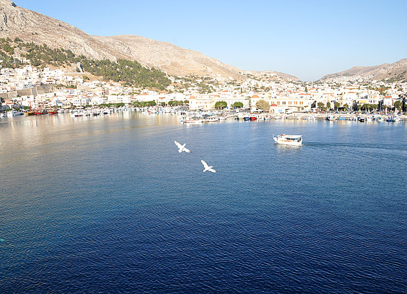 Pothia p&aring; Kalymnos