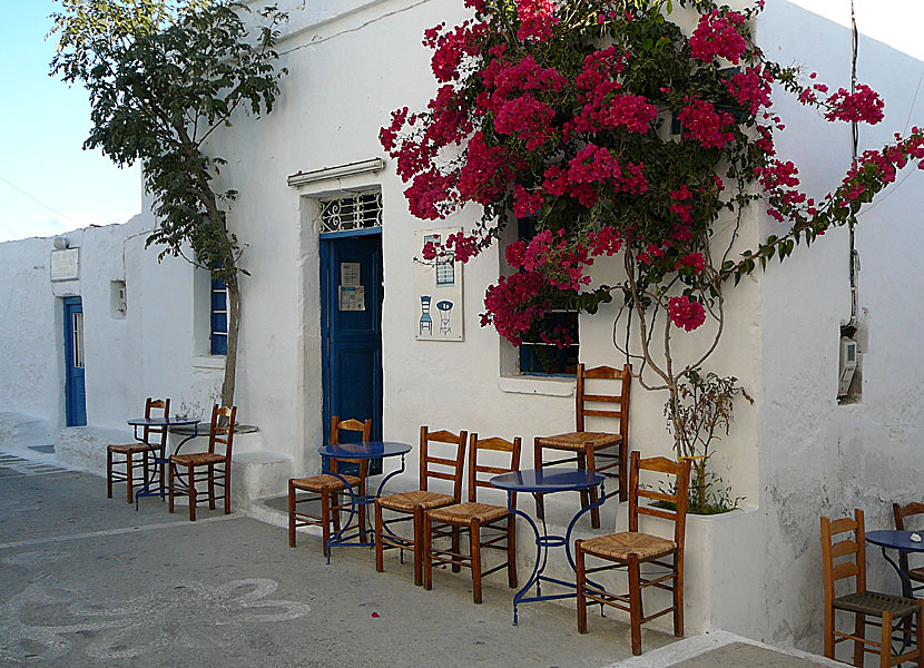 Kaf&eacute; i Chora p&aring; Schinoussa.