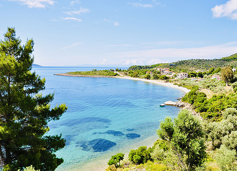 Alonissos bästa stränder. Glyfa beach.