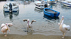 V&auml;lkommen till Mykonos.