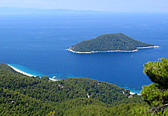 &Aring;rets uppstickare tror jag blir Skopelos.  Milia beach.