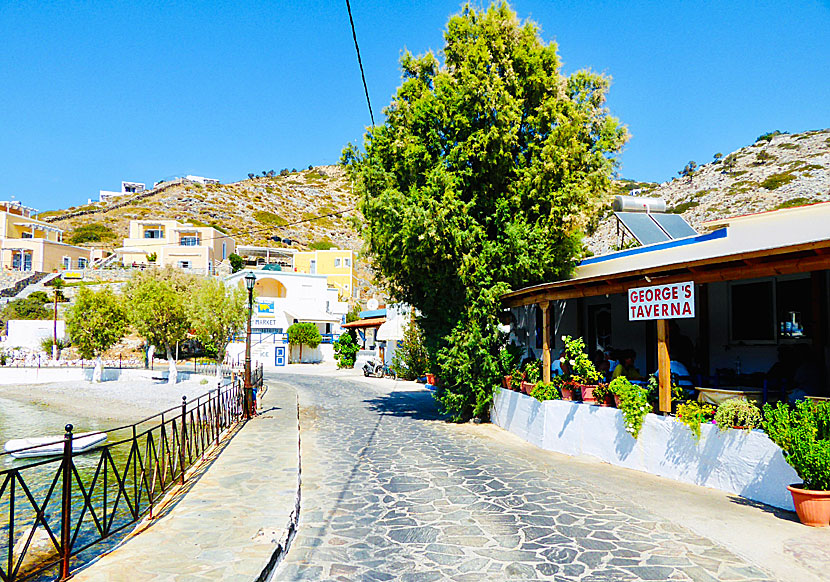 Taverna George i hamnen på Agathonissi. 