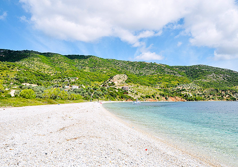 Stranden Agios Dimitrios beach på ön Alonissos i Grekland.