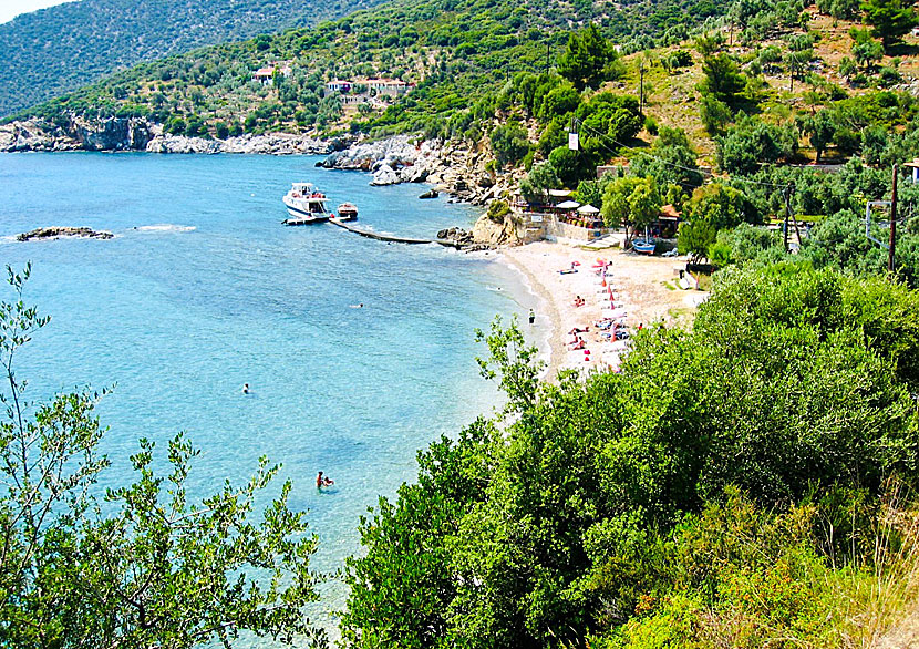 Alonissos bästa stränder. Megalos Mourtias beach.